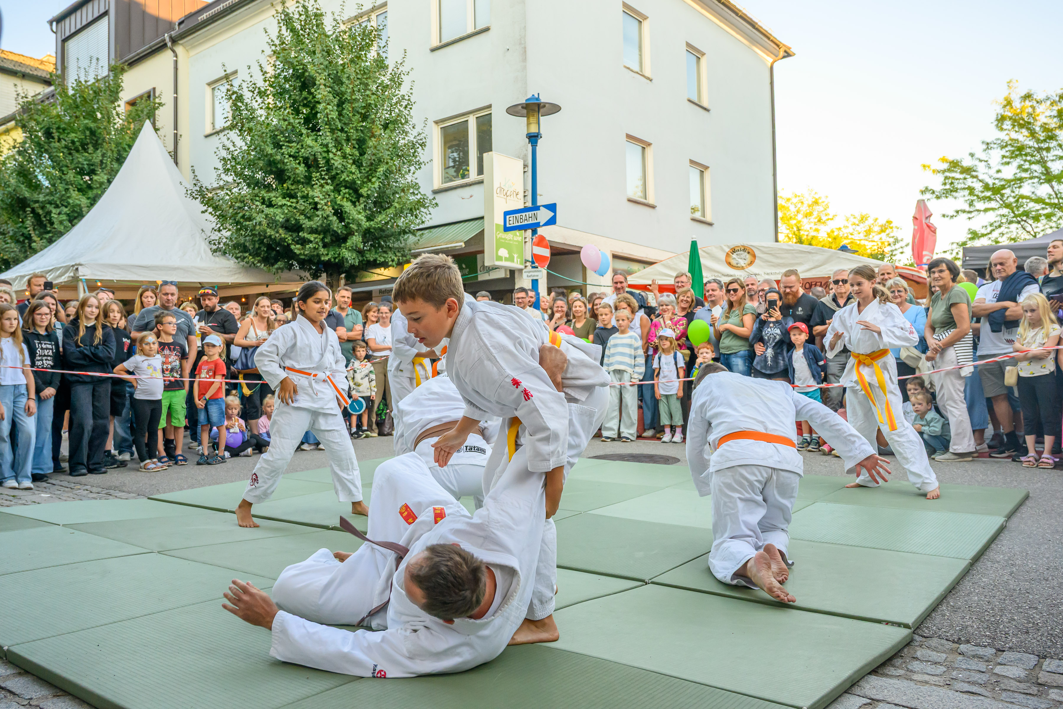 Bild ID193307